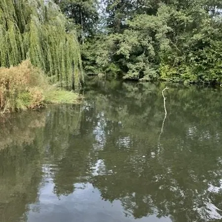Gemuetliche Mit Kamin Und Badeteich Bad Waldsee